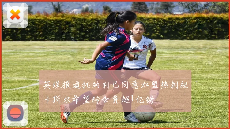 英媒报道托纳利已同意加盟热刺纽卡斯尔希望转会费超1亿镑